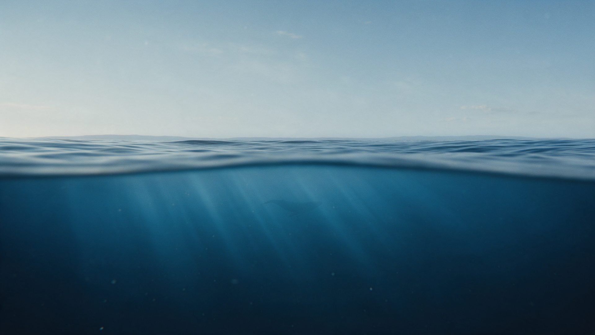 The ocean surface seen at the waterline: pale sky above, deep blue water below.