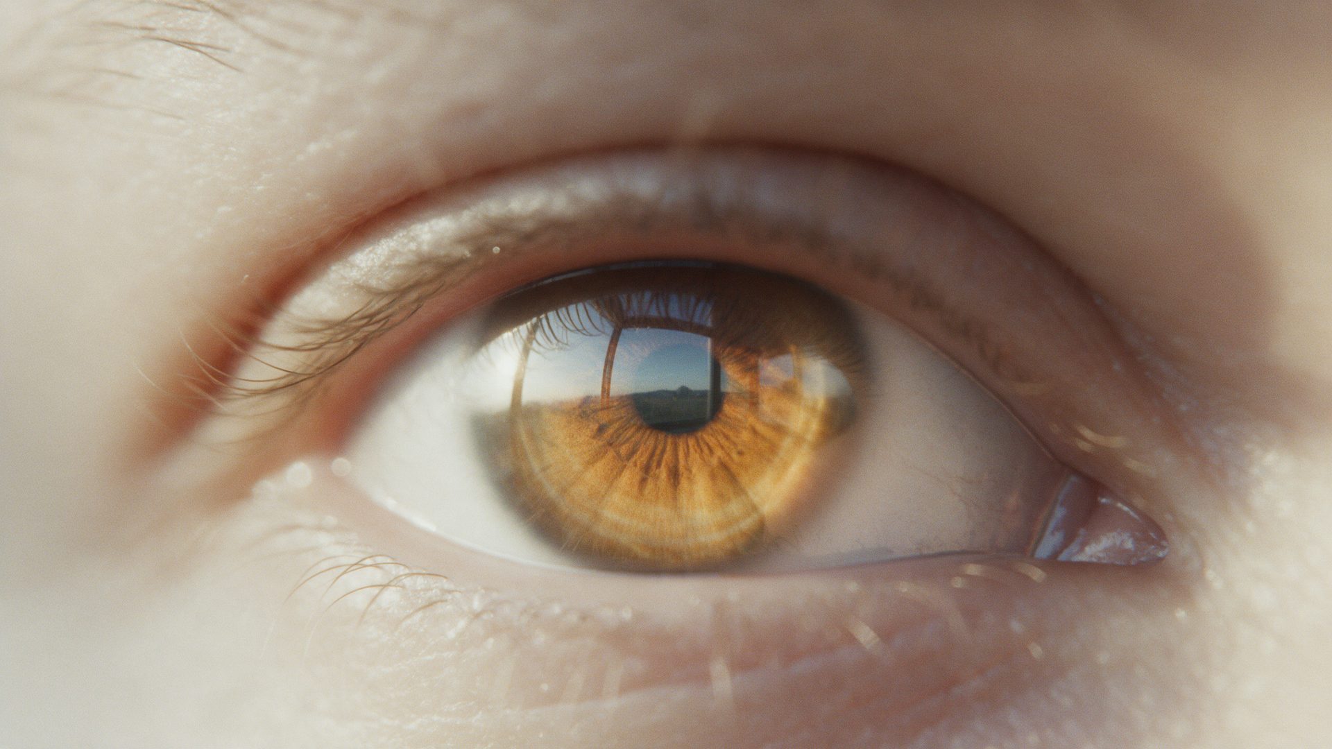 Close-up of a human eye with an amber iris reflecting a window.