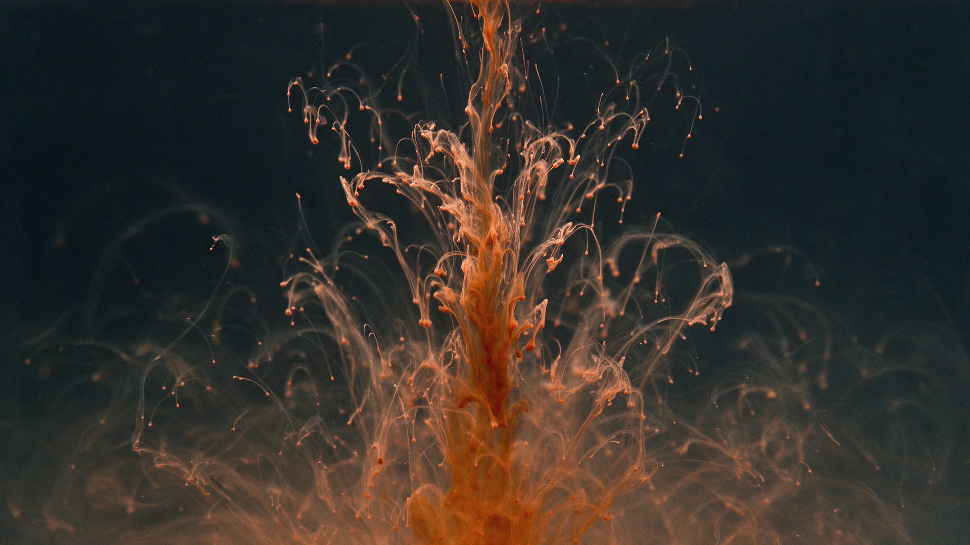 Copper-coloured ink blooming into dark water in branching tendrils.