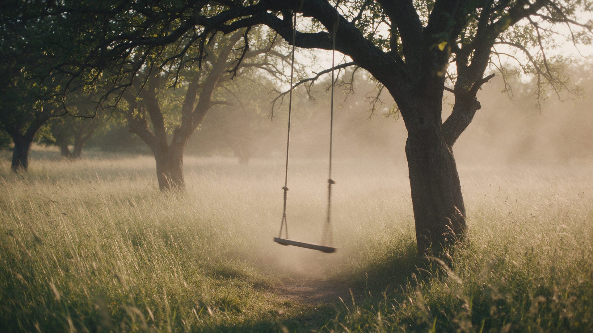 An empty rope swing under an old tree in a hazy meadow at golden hour.
